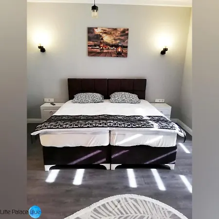 Little Palace Blue 2*