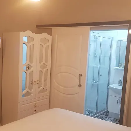 Little Palace Blue 2*